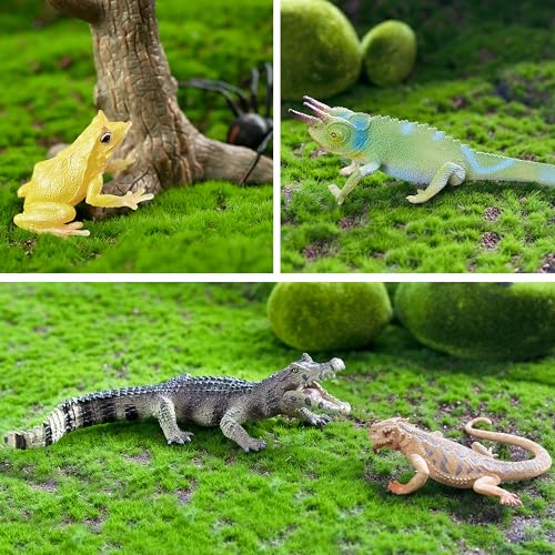 Toymany Reptile Animal Figurine Toys Set, 12 PCS Halloween Desert Amphibians Animal Figures with Komodo Dragon Lizard Snake Chameleon Rainforest Cold Blooded Animals Figures Party Favor for Kids - style: Reptile Animal Figurine
