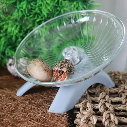 Hermit Crabs Wheel Toy, Hamster Running Wheel Toys, Small Animals Cage Accessory, Tank Accessory, Suitable for Hermit Crab Hamster Rat - color: Light Blue, size: Small