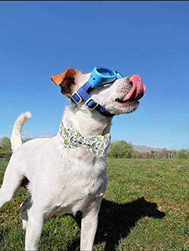 ARING PET Bowtie Dog Collar, Dog Collar with Bow, Adjustable Dog Collars for Small Medium Large Dogs. - color: Dinosaur, size: X-Small (Pack of 1)