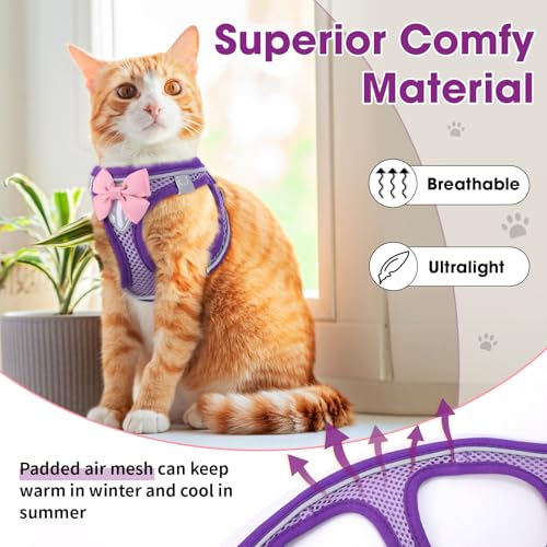 Cat Harness and Leash Set, Escape Proof Kitten Harness Purple XS | Safe Reflective Strips, Adjustable Easy Wear Kitty Harness, Sturdy Clip Buckle, Breathable Mesh , for Kitty Puppy Bunny Walks - color: Purple, size: XS