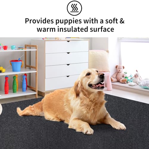 Kennel Pad Dog Crate Mat Liner, 36" x 24" - 1 Pack | Waterproof, Non-Slip, Washable Puppy Pee Pad for Kennel Training - Under Pet Cage to Protect Floors, Thin Cut to Fit Design - size: 24" x 36" - 1 Pack