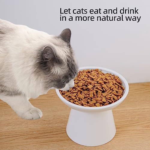 Ceramic Elevated Cat Bowls - 6.2 Inch Extra Wide Raised Cat Food and Water Bowl Set for Indoor Cats, Whisker-Friendly Ceramic Cat Dish for Elder Big Cats & Small Dogs,White,2 Pack - color: White, size: 2 Pack