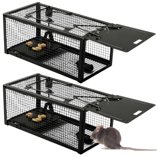 Qualirey 2 Pcs Live Rat Trap Humane Mouse Trap Mice Rat Cage Work for Small Animal Indoor and Outdoor Mouse Voles Hamsters Catch and Release(Black) - color: Black