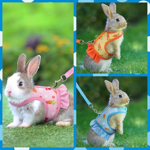 Blue Rabbit Harness and Leash Bunny Harness Set Ferret Vest, S(Young Bunny) | Quick-release, Breathable, Escape Proof, Also Suit For Ferret Kitten Puppy Small Animals,Clothes Stuff Accessories - color: Blue, size: S(Young Rabbit)2 months old