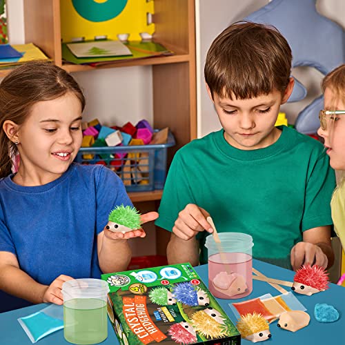 Crystal Growing Kit - 4 Vibrant Hedgehogs Fast 24H, STEM Gift for Kids 6-12 | Grow 4 vibrant hedgehogs in 24H. STEM science kit for ages 6-12. Educational DIY toy, great birthday gift for boys & girls. - color: 4 Hedgehog Crystal