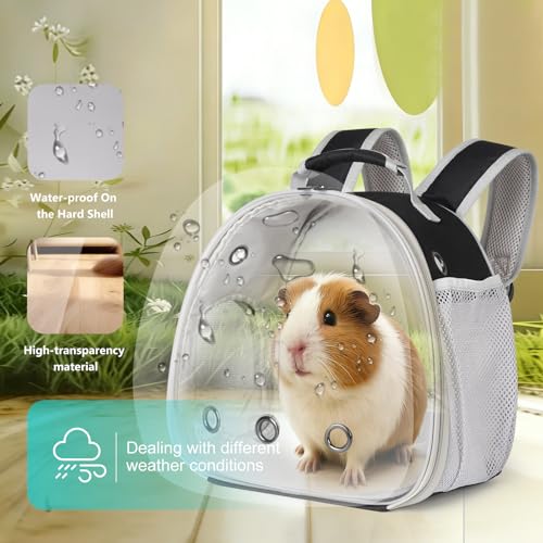 Guinea Pig Backpack, Space Capsule Bubble Window Small Animal Backpack for Guinea Pig, Bird Bunny Rabbit - color: Black