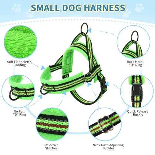 Lukovee Small Dog Harness and Leash Set, No Pull Soft Padded Vest | Both Neck & Chest Adjustable, Reflective, Puppy Harness with 4ft Lightweight Anti-Twist Dog Leash for Small Dogs (Green, XXS) - color: Green - with Stripe, size: XXS ( Chest 11.5'' ~ 15''