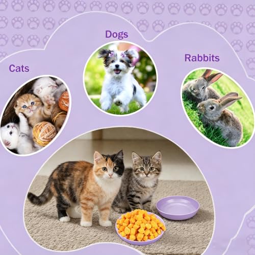 Shallow Cat Food Bowls 6pk Wide Flat Plastic Slow Feeder Pet Bowls | Wide shallow plastic cat bowls 6pk, anti-vomiting slow feeder, easy clean for wet dry food, for kittens small indoor dogs - color: purple