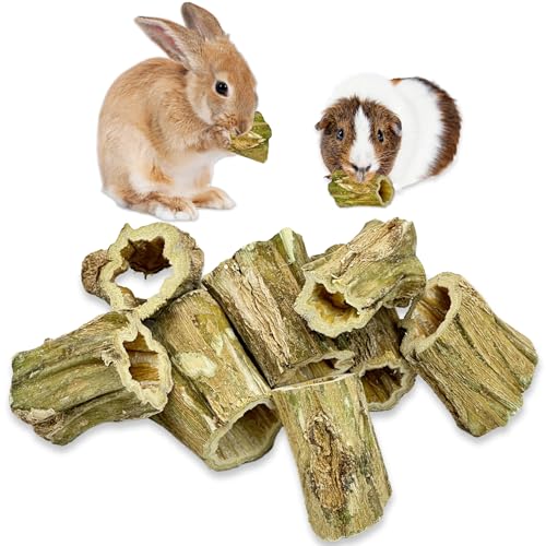 Fhiny Rabbit Chew Toys, 8 PCS 2" Natural Papaya Wood Chew Sticks Guinea Pig Treats for Dental Care Bunny Treats for Rabbits Small Pet Molar Snacks for Bunny Guinea Pig Chinchilla Hamster Gerbil