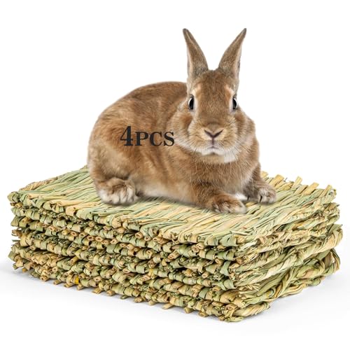 Sukh Bunny Mat - 4 Pack Natural Woven Grass Mats for Rabbits | Rabbit Mat, Cage Bed, Rabbit Bedding, Bunny Toys for Guinea Pigs, Chinchillas, Hamsters, Gerbils, Mice & Rats - size: 4 PCS