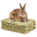 Sukh Bunny Mat - 4 Pack Natural Woven Grass Mats for Rabbits | Rabbit Mat, Cage Bed, Rabbit Bedding, Bunny Toys for Guinea Pigs, Chinchillas, Hamsters, Gerbils, Mice & Rats - size: 4 PCS