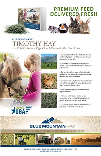 Blue Mountain Hay Timothy Hay Easy Flake Feed for Small Pets, 5lb | Easy Flake Timothy Hay, High Fiber Daily Forage, Soft Leafy Texture, Supports Digestion and Dental Care, Natural Nutrition - size: 5 Pound (Pack of 1)