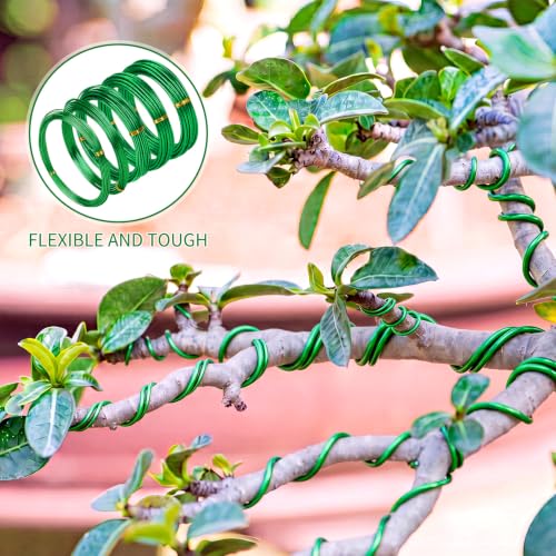 Mudder 5 Roll Aluminum Bonsai Training Wire Tree 1/1.5/2.0/2.5/3mm 118 Feet Total with Bonsai Wire Cutter Anodized Training for Holding Branches Small Trunks(Green) - color: Green, size: 1/1.5/2/2.5/3mm