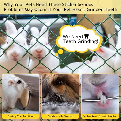 600g Organic Apple Sticks Small Animals Molar Wood Treats Toys for Chinchillas Guinea Pig Rabbits Hamster Gerbil Parrot Bunny Chew Stick Toys, 21.2 OZ - size: 1.33 Pound (Pack of 1)