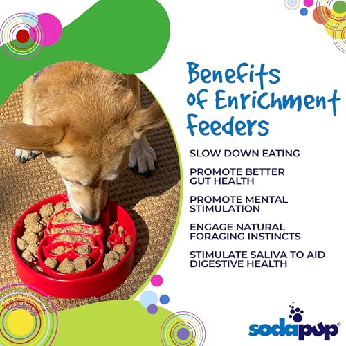 SodaPup Santa Enrichment Bowl – Durable Slow Feeder Bowl Made in USA from Non-Toxic, Pet-Safe, Food Safe Material for Mental Stimulation, Slowing Down Eating, Healthy Digestion, & More - color: Red Santa eBowl