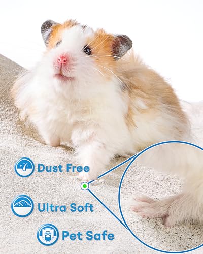 BUCATSTATE Hamster Sand 6.6LB, Highly Absorbent & Odor Control Potty Litter, Sand for Hamster Bath, Chinchillas, Gerbils, Mice, Degus and Other Small Pets (ZeoliteSand) - color: Zeolite Sand, size: 6.6LB