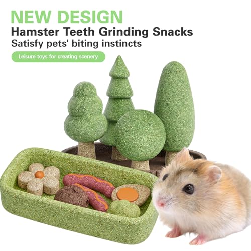 Hamster Chew Toys for Teeth,Hamster Treats 5pcs(Forest Theme) | Made with Natural Timothy Grass & Vegetables,Improve dental health for Hamster,Guinea Pig,Bunny, Chinchilla Small Animal Toys
