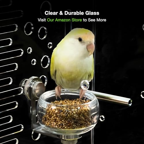 GuineaLoft™Stainless Steel Glass Feeding Bowl (3 oz, 90 ml) | Premium Modern Glass Food Cup for Birds, Hamsters & Other Small Animals- Visit The Store for More