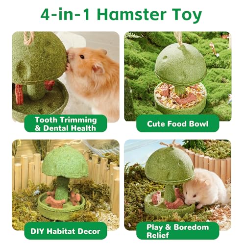Hamiledyi Guinea Pig Chew Toys Rabbit Chew Toys for Teeth Natural Hamster Treats Prevent Teeth Overgrowth for Syrian Hamsters Gerbils Rat Bunny Chinchilla Small Animals - style: Style B