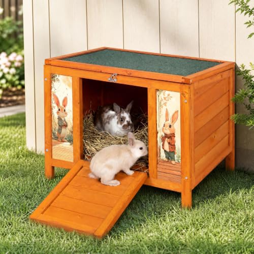 24" Outdoor Rabbit Hutch and Small Cat House for Small Animals | Openable waterproof roof, raised floor, lockable fold-down ramp door, sheltered resting area for guinea pigs, chicks and pets