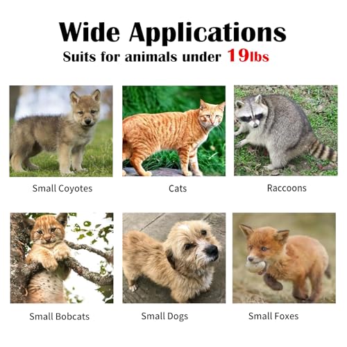 37 Inch Live Animal Trap | Animal Trap for Cats,Raccoons,Rabbits,cat Trap for Stray Cats,Live Traps for Raccoons,Steel Foldable with Pedal Triggers