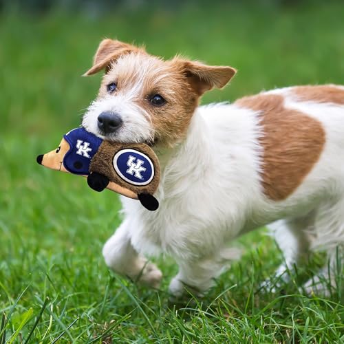 NCAA Kentucky Wildcats Plush Hedgehog Toy for Dogs & Cats, Cool Soft Pet Toy for Fun and Interactive Play, Dog Chew Toy with Squeaker, Licensed Hot Pet Toy - color: Kentucky Wildcats