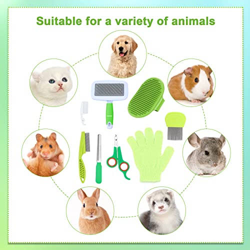 VCZONE 8 Pcs Small Animal Grooming Kit, Pink with Pet Nail Clipper and File, Flea Comb, Pet Shampoo Bath Brush, Pet Shedding Slicker Brush, Bath Massage Glove, Cleaning Comb (Green) - color: Green