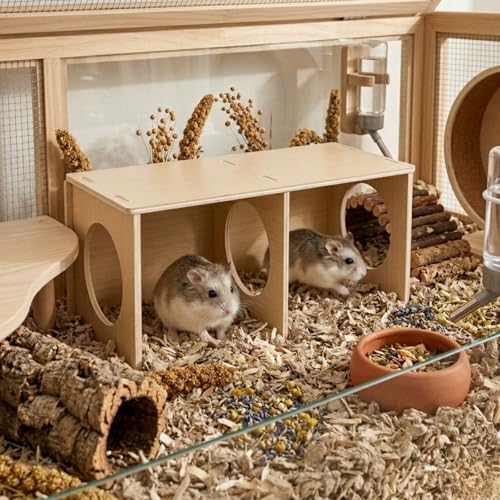 Hamster Hideout Tunnel and Hamster Bridge Set, Wooden Hamster Cage Accessories, Hamster Platform and Hamster Toys, 2-Chamber Multi-Room Climbing Toy for Syrian Dwarf Hamsters, Gerbils, Rats