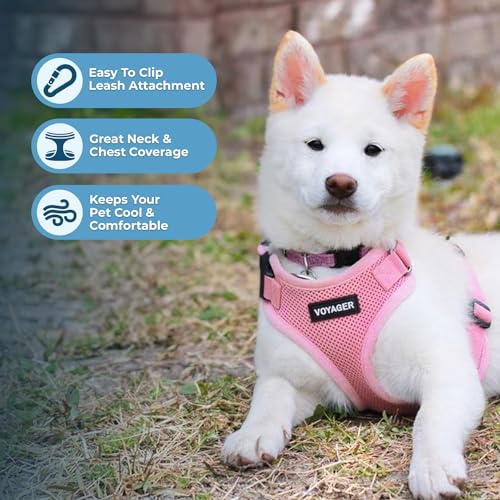 Voyager Step-in Lock Dog Harness - Pink, X-Large | 23 - 28" in Chest, Adjustable, Breathable Air Mesh, Lightweight for Daily Walks, Strong Clips, Heavy Duty D-Ring - color: Harness (Pink), size: XL (Chest: 23 - 28")