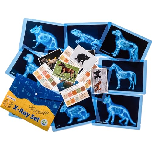 Pet Series Animal Xrays for Kids - Light Table Manipulatives | Veterinarian Play Set & Dramatic Play Vet Clinic - style: Pet Series