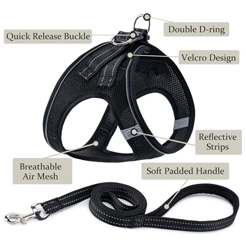 Dog Harness with Leash Set, Step-in Adjustable Puppy Pet Vest, Black XXS | Lightweight Breathable Air Mesh, Night Safety Reflective, No Pull Puppy Vest Harnesses for Small Medium Large Dogs, Cats - color: Black, size: XXS(Chest:10"-12")