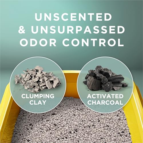 Purina Tidy Cats Clumping Cat Litter Odor Control, Free and Clean Unscented Multi Cat Litter - 16 lb. Bag (Pack of 2) - size: 16 Pound (Pack of 2)