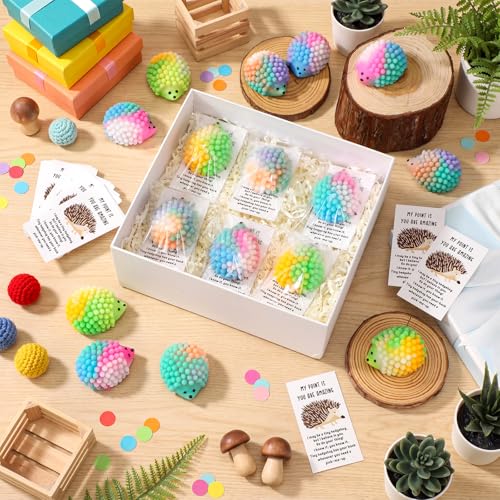 HyDren 60 Set Inspirational Hedgehog Stress Ball Gift Bulk Postive Cards | Back to School Gifts, Squeeze Stress Relief Ball, Motivational Card, Fidget Toys for Coworker, Adult, Employee Appreciation - style: Hedgehog