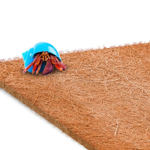 SunGrow Coco Fiber Hermit Crab & Reptile Carpet, Gecko Terrarium Liner, and Floor Bedding Substrate & Supplies, Climbing Wall Carpet & Mat for Hermit Crabs, 10" x 13", 1 Piece Per Pack