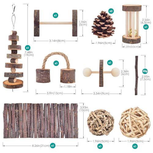 ERKOON 11 Pack Chinchillas Chew Toys, Toys Accessories for Teeth Care, Natural Apple Wood Ladder Bell Roller for Russian Hamster Gerbils Rats Guinea Pigs (11PCS)