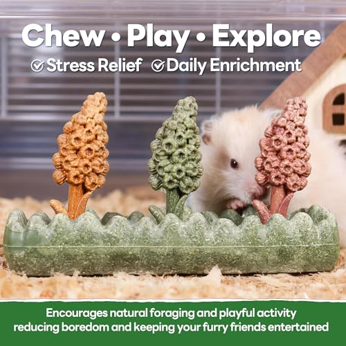 TEEWY 4PCS Guinea Pig Chew Toys, Prevent Teeth Overgrowth, Natural Timothy Grass & Vegetables, Hamster Toys, Guinea Pig Toys, Chinchilla Toys, Grass Patch & Hyacinth - style: 4PCS-Grass Patch & Hyacinth