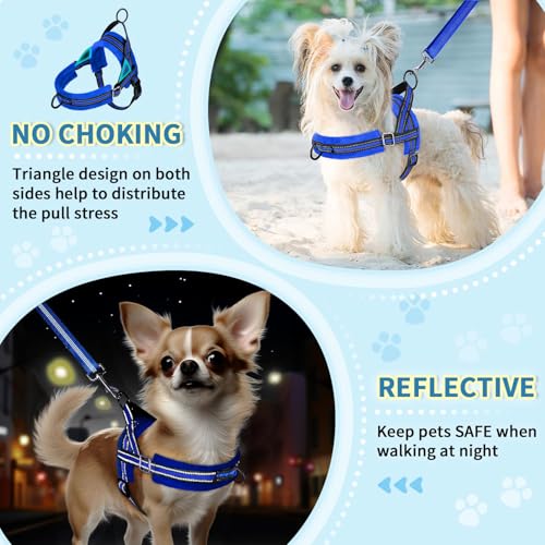 Lukovee Small Dog Harness and Leash Set, No Pull Soft Padded Vest | Both Neck & Chest Adjustable, Reflective, Puppy Harness with 4ft Lightweight Anti-Twist Dog Leash for Small Dogs (Blue, XS) - color: Blue, size: XS ( Chest 14'' ~ 18'')