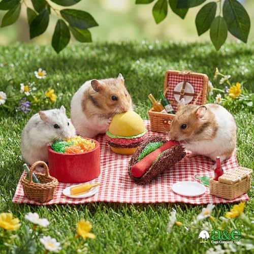 A&E Cage Co Summer Cookout Chew Toys for Hamsters & Small Pets, NB053 | Natural Wood & Loofah, Pet-Safe Dyes, Supports Dental Health, Boredom Breaker Set for Gerbils, Mice & Rats