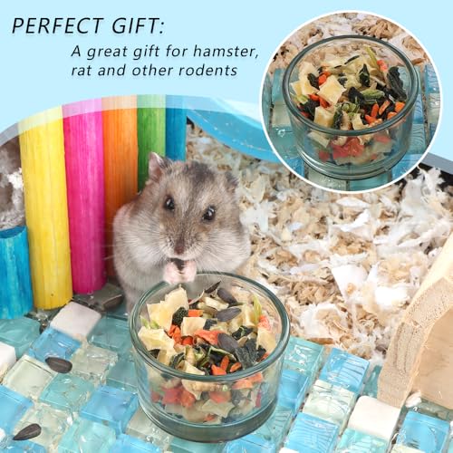 2 Pcs Hamster Food and Water Bowl Glass Anti-Turning Transparent Dish for Hamster and Other Small Pet