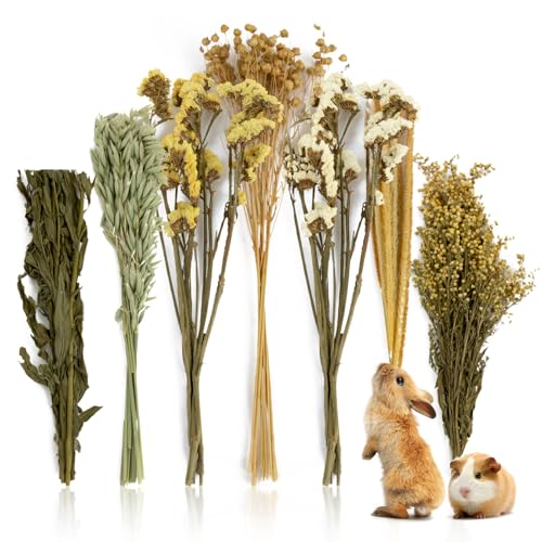 Sukh 47pcs Hamster Sprays - Natural Flower Herb Bedding Forage Mix for Cage | Sprays for Hamster Cage Accessories, Bedding Decor, Habitat Enrichment for Dwarf Syrian Hamsters, Gerbils, Mice, Small Pets