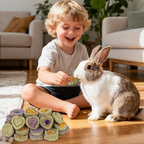 30PCS Guinea Pig Hay Grass Cake Food Set Natural Rabbit Chew Toys for Teeth | Hamster Toys, Bunny Chew Toys Timothy Hay Treats for Rabbits Chinchillas Rats, Small Animals Teeth Grinding - size: 30Pack-grass cake