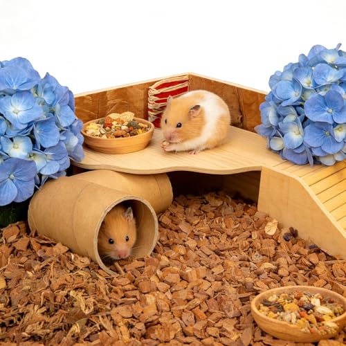 2-Piece Wooden Play Platform Set for Dwarf Syrian Hamsters Gerbils Mice Degus | Natural Pine Hamster Cage Accessories for Small Pets Climbing Resting and Hiding (1 Pack)