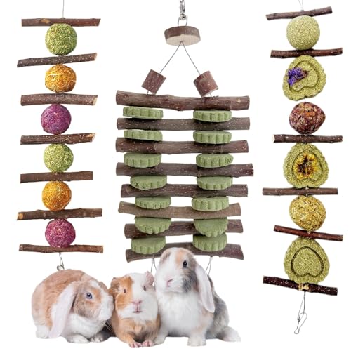 Hamiledyi Bunny Chew Toys Rabbit Hanging Toys for Teeth Grinding Rabbit Toys Natural Fruit Sticks Timothy Grass Cakes Chew Toys and Treats Improve Dental Health for Guinea Pig Hamster Chinchilla - style: Style C