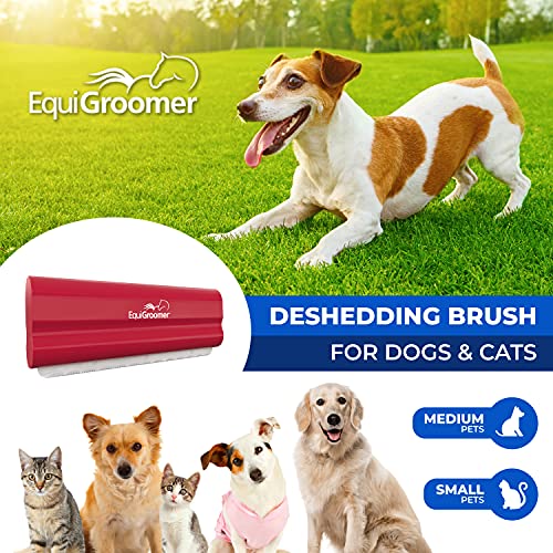EquiGroomer 5-Inch Undercoat Deshedding Brush for Dogs & Cats, Red | Best for dogs up to 100 lbs and cats of any size, short or long hair, stainless blade, no cutting or pulling - color: Red, size: 5 Inch