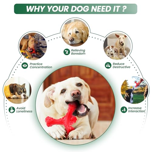 Dog Chew Toys for Aggressive Chewers Large Breed,Indestructible Bones Toy，Durable Cleaning Toothbrush Natural Rubber Dog Toys… (Red) - color: Red