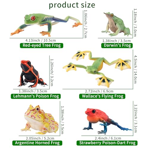 Toymany Frog Toy Figures, Plastic Rainforest Woodland Animals Toy Frogs Set with Realistic Poison Dart Frog, Cake Topper Party Favor Garden Flowerpot Plants Decor - style: Jungle Animal-2