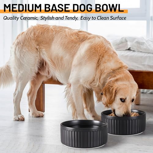Non-Slip Ceramic Dog Bowls,8" Dog Food and Water Bowl Set with Silicone Base, 64oz/8cups Weighted Flip-Proof Pet Feeding Bowl for Medium and Large Dogs (Large,Black) - color: Black, size: 8 Cups