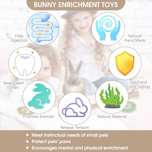 Hamiledyi Rabbit Seagrass Activity Mat Bunny Toy Hanging Rabbit Chew Toys for Teeth Enrichment Toys Seagrass Protector Mat Small Animal Toys for Chinchilla Guinea Pig Hamster Rat Rodent - style: A