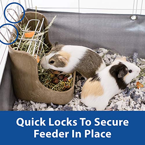 Kaytee Hay & Food Bin Feeder with Quick Locks for Pet Rabbits, Chinchillas, Guinea Pigs and Other Small Animals (Pack of 2) - size: 5.75 inches x 6 inches x 7 inches (Pack of 2)