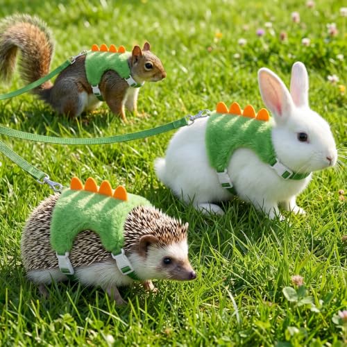 Ferret Harness and Leash Set, Small Animals Vest Harness, Adjustable Straps & Magic Tape Design for Puppies, Cats, Squirrels, Rats, Bunnies, Ferrets, Outdoor Walking - color: Green